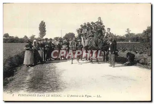 Ansichtskarte AK Folklore Vin Vignoble Vendanges dans le Medoc L&#39arrivee a la vigne TOP