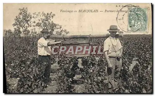 Cartes postales Folklore Vin Vignoble Vendanges en Beaujolais Porteurs de Benne TOP