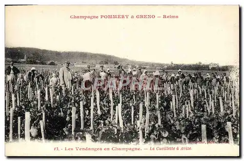 Cartes postales Folklore Vin Vignoble Vendanges Champagne Pommery & Greno Reims La cueillette a Avize