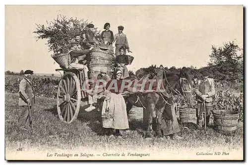 Cartes postales Folklore Vin Vignoble Vendanges en Sologne Carrette de vendangeurs Cheval TOP