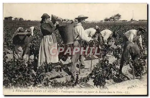 Ansichtskarte AK Folklore Vin Vignoble Vendanges dans le Medoc Vendangeuse vidant son panier de raisins dans la h