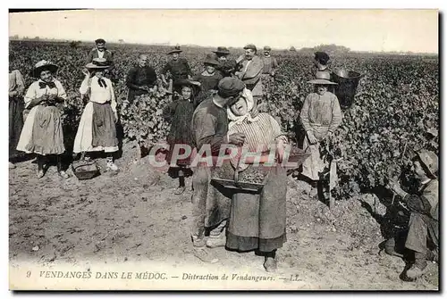 Cartes postales Folklore Vin Vignoble Vendanges dans le Medoc Distraction de vendangeurs