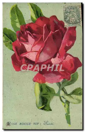 Cartes postales Fantaisie Fleurs