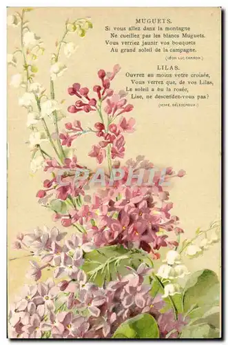 Cartes postales Fantaisie Fleurs Muguets Lilas