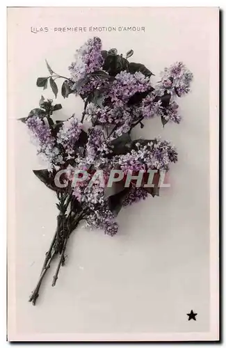 Cartes postales Fantaisie Fleurs Lilas