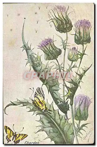 Cartes postales Fantaisie Fleurs Papillon Chardon