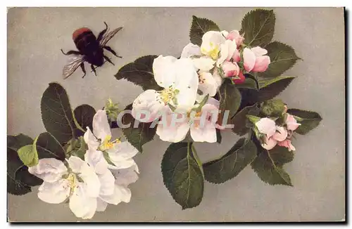 Cartes postales Fantaisie Fleurs