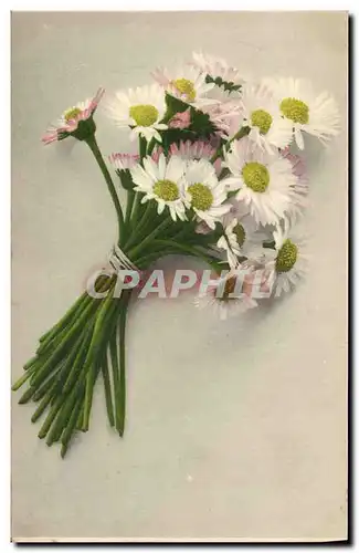 Cartes postales Fantaisie Fleurs