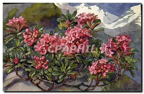 Cartes postales Fantaisie Fleurs