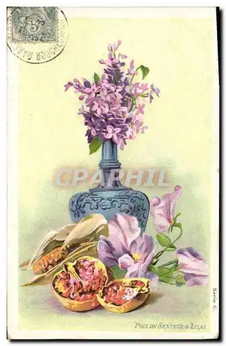 Cartes postales Fantaisie Fleurs Pois de senteur & Lilas