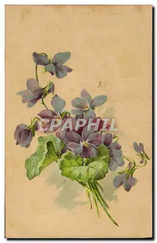 Cartes postales Fantaisie Fleurs