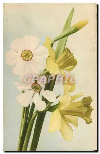 Cartes postales Fantaisie Fleurs