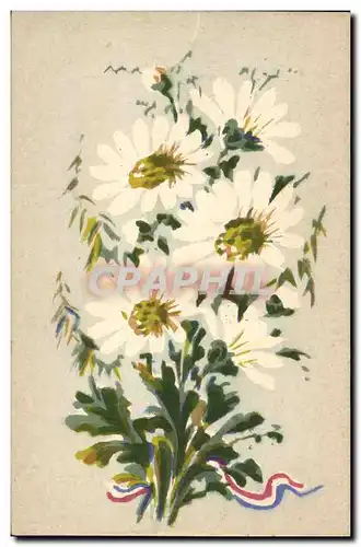 Cartes postales Fantaisie Fleurs