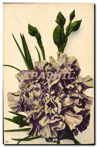 Cartes postales Fantaisie Fleurs