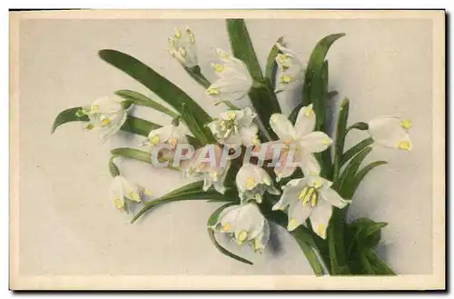 Cartes postales Fantaisie Fleurs