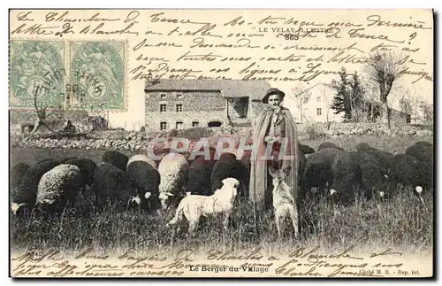 Ansichtskarte AK Folklore Le Velay Le berger du village Moutons