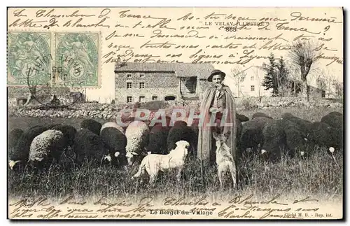 Cartes postales Folklore Le Velay Le berger du village Moutons