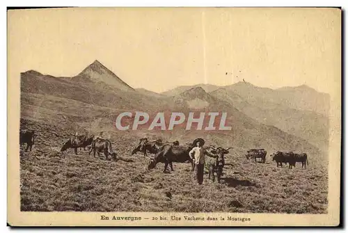 Cartes postales Folklore Auvergne Une vacherie dans les montagnes Vaches