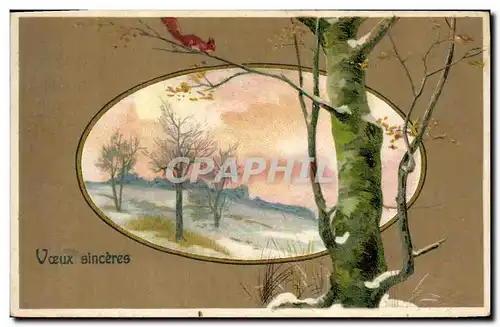 Cartes postales Fantaisie Arbre Ecureuil
