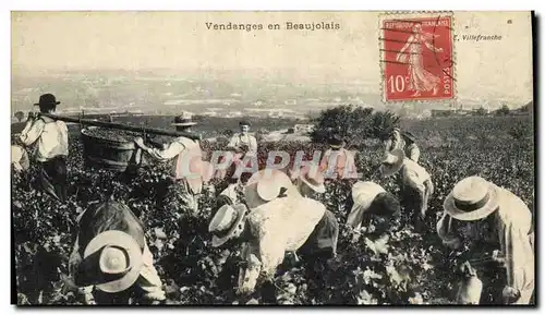 Cartes postales Vin Vendanges en Beaujolais TOP