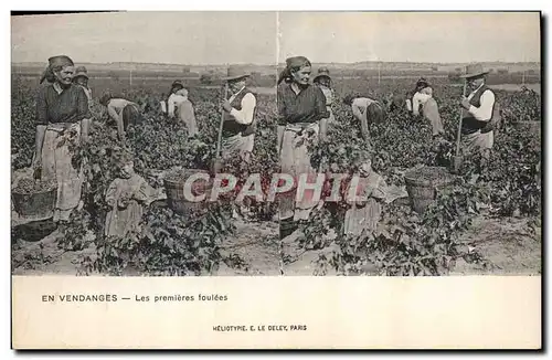 Cartes postales Vin Vendanges Les premieres foulees