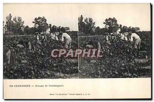 Cartes postales Vin Vendanges Groupe de vendangeurs