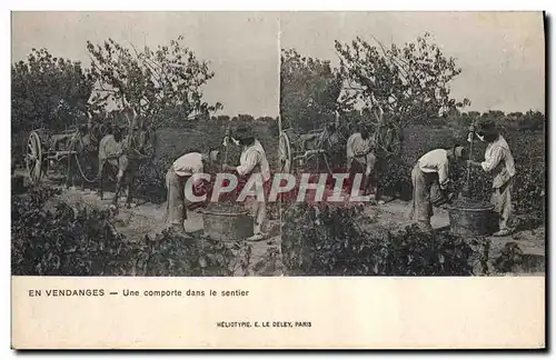 Cartes postales Vin Vendanges Une comporte dans le sentier