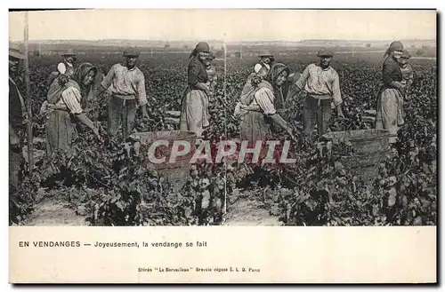 Cartes postales Vin Vendanges Joyeusement la vendange se fait