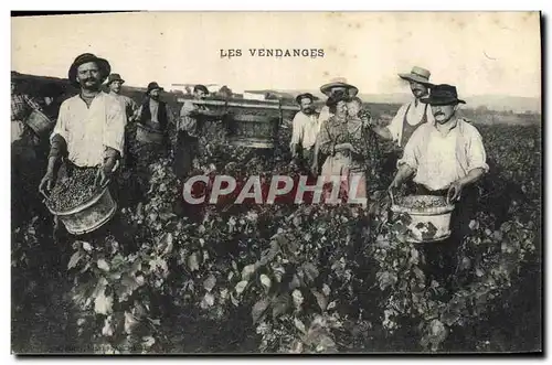 Cartes postales Vin Vendanges TOP