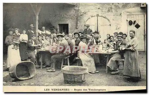 Cartes postales Vin Vendanges Repas de vendangeurs TOP