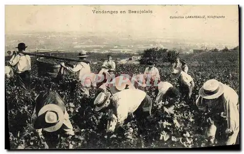 Cartes postales Vin Vendanges en Beaujolais