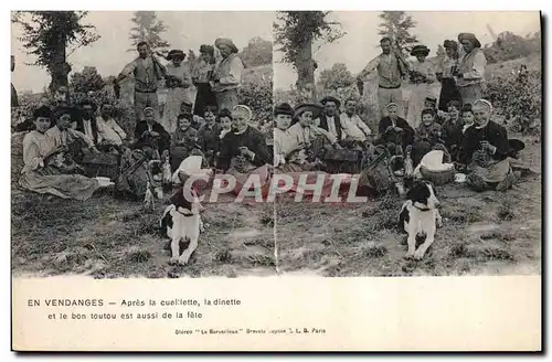 Cartes postales Vin Vendanges Apres la cueillette la dinette et le bon toutou est aussi de la fete Chien TOP