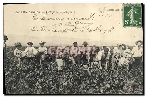 Cartes postales Vin Vendanges Groupe de vendangeurs TOP