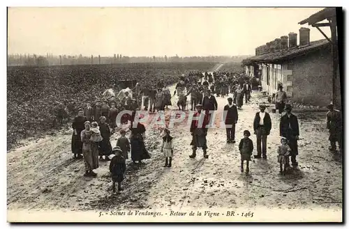 Cartes postales Vin Scenes de Vendanges Retour de la vigne TOP