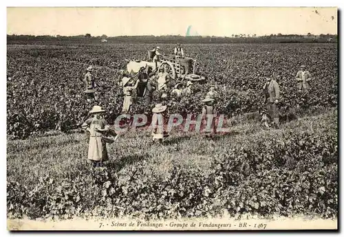 Cartes postales Vin Scenes de Vendanges Groupe de vendangeurs tOP