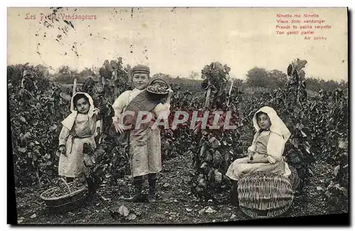 Ansichtskarte AK Vin Vendanges Les petits vendangeurs Enfants TOP