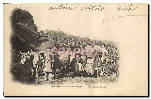 Cartes postales Vin Pyrenees Char de Vendanges Boeufs TOP
