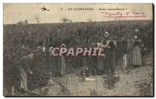 Cartes postales Vin Vendanges Deux maraudeurs