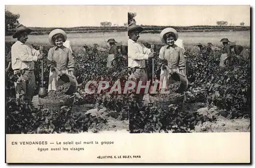 Cartes postales Vin Vendanges Le soleil qui murit la grappe egaye aussi les visages