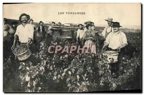 Cartes postales Vin Vendanges TOP