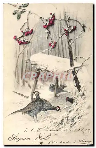 Cartes postales Fantaisie Oiseaux Noel Faisans