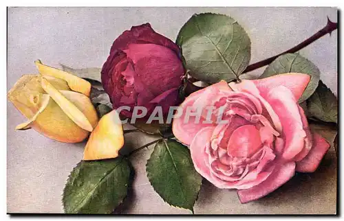 Cartes postales Fantaisie Fleurs Bouquet de roses