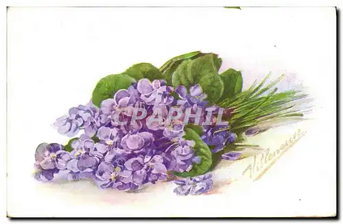 Ansichtskarte AK Fantaisie Fleurs Violette de Parme