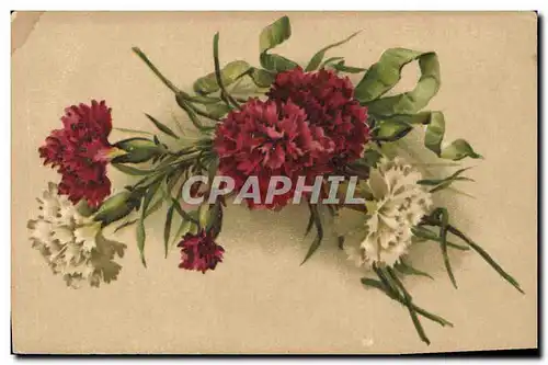 Cartes postales Fantaisie Fleurs