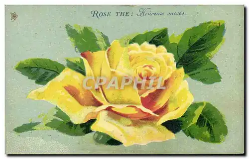 Cartes postales Fantaisie Fleurs Rose The Heureux succes