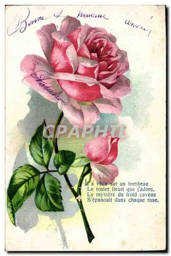 Vintage Postcard Fantasy Flowers�