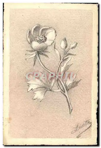 Cartes postales Fantaisie Fleurs
