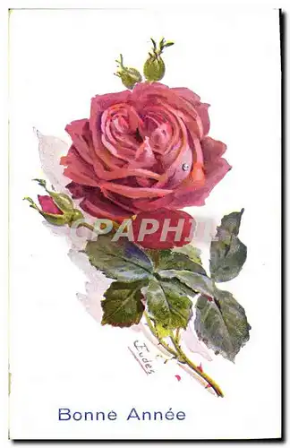 Cartes postales Fantaisie Fleurs