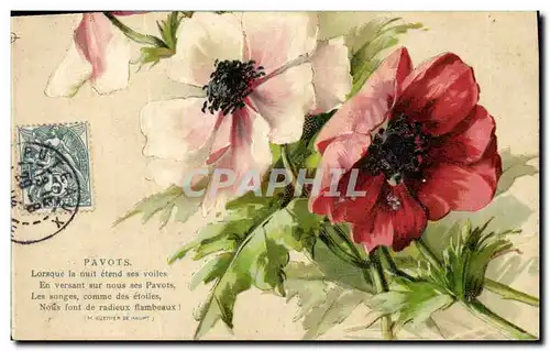 Cartes postales Fantaisie Fleurs Pavots