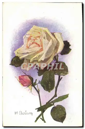 Cartes postales Fantaisie Fleurs